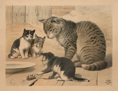 Kat av Oluf August Hermansen