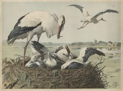 Čáp, 1892 – č. 2, Oluf August Hermansen
