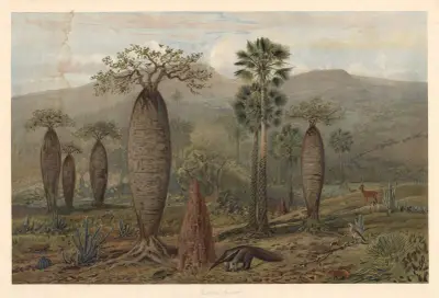 Brazilská horská krajina, August Specht