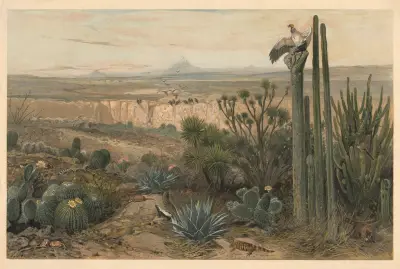 Z mexické vysočiny, August Specht