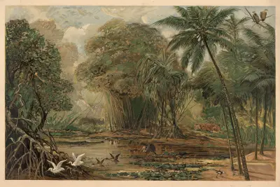 Gangesdeltat, August Specht