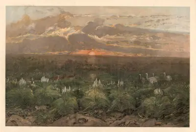 On the Pampas av August Specht