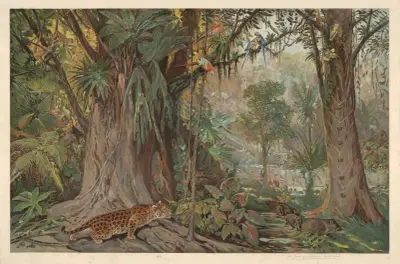 Na horním toku Amazonky, August Specht