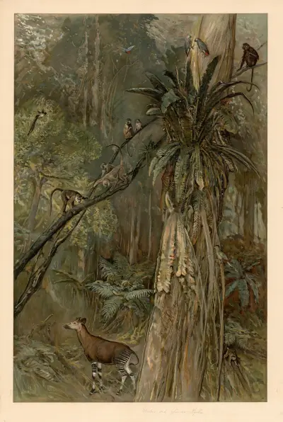 Primeval forest on the Guinea coast av August Specht