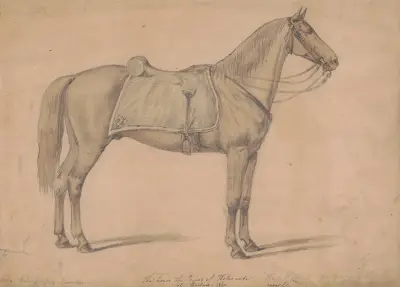The sorrel horse the Prince of Wales rode at Boston av Augustus Köllner