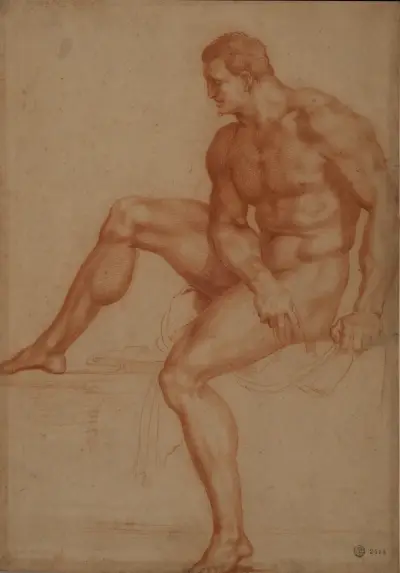 Estudio para Hércules av Baccio Bandinelli