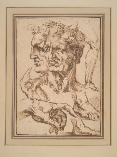 Sheet of Studies av Baccio Bandinelli