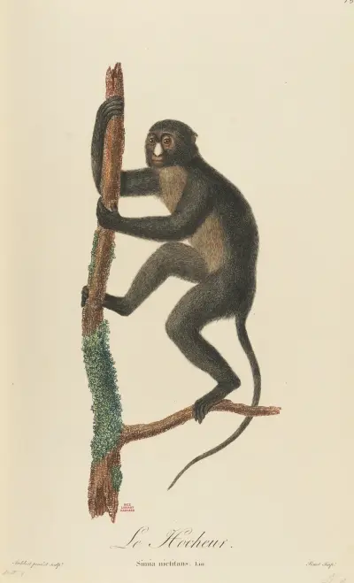 Le Hocheur av Jean-Baptiste Audebert
