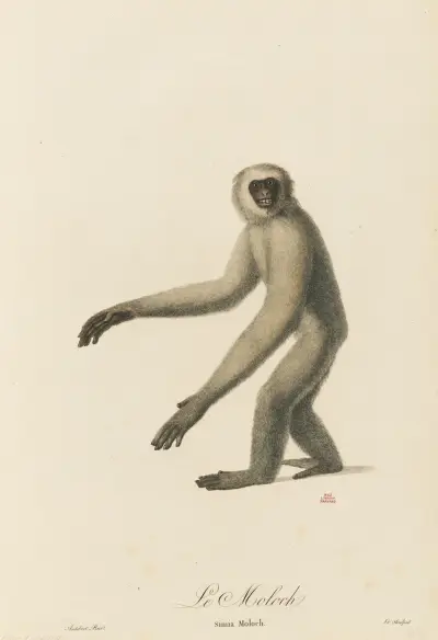 Le Moloch av Jean-Baptiste Audebert