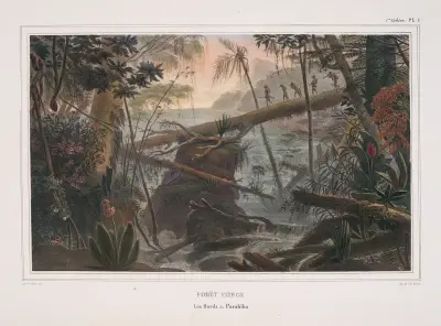 Forêt vierge av Jean Baptiste Debret