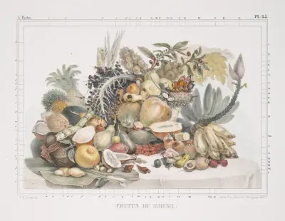 Brasilianska frukter av Jean Baptiste Debret