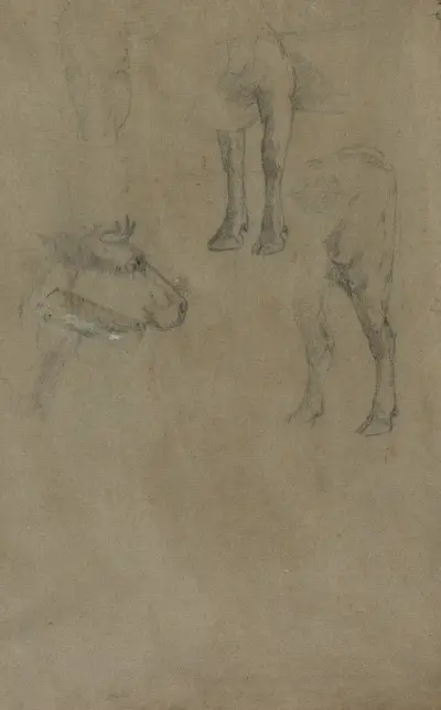 Studier av en tjur av Johan Barthold Jongkind