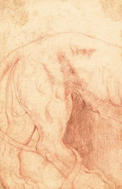 Fragment of a Lion Bas-Relief (verso) av Giovanni Battista Piranesi