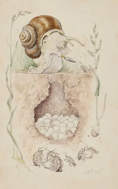 Ślimak strzegący swojego gniazda, Beatrix Potter