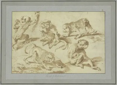 Fünf Affen in verschiedenen Stellungen av Giovanni Benedetto Castiglione