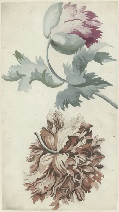 Papavers av Bernard Picart