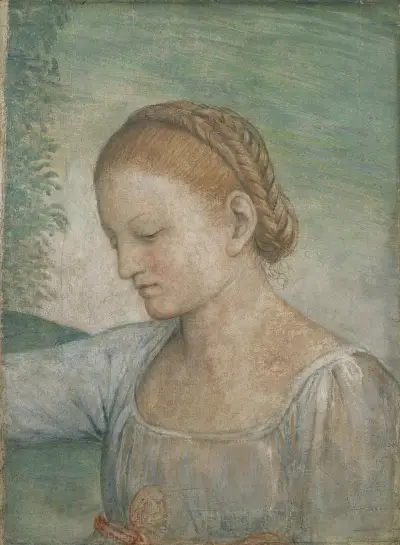 Head of a Girl av Bernardino Luini