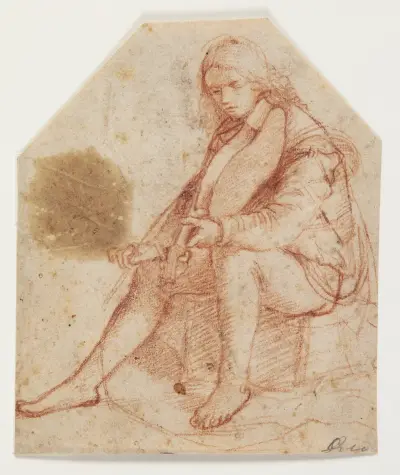 Seated youth with viola av Bernardino Luini