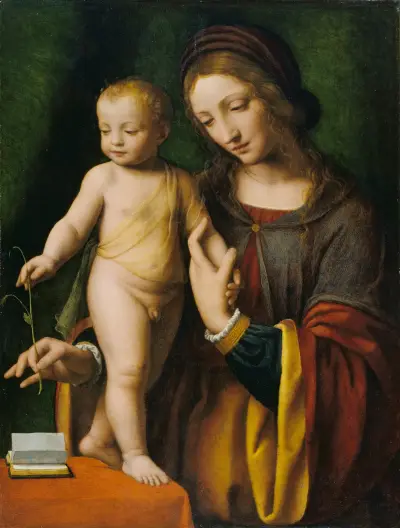 The Virgin and Child with a Columbine av Bernardino Luini