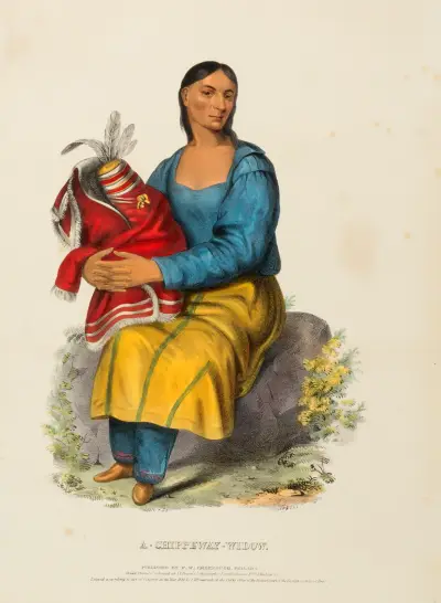 A Chippeway Widow av Charles Bird King
