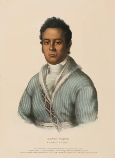 David Vann. Náčelník Cherokeeů, Charles Bird King