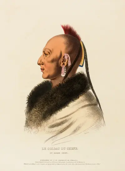 Le Soldat Du Chene, An Osage Chief av Charles Bird King