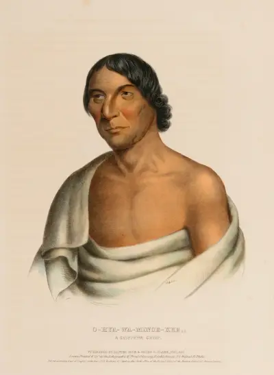 O‑Hya-Wa-Mince-Kee, A Chippewa Chief av Charles Bird King