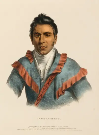 Oche-Finceco av Charles Bird King