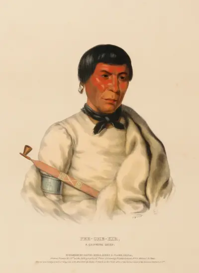 Pee-Che-Kir, A Chippewa Chief av Charles Bird King