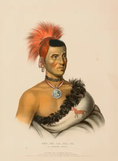 Pes-Ke-Le-Cha-Co, A Pawnee Chief av Charles Bird King