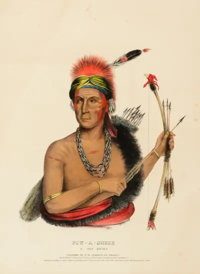 Pow-A-Sheek. A Fox Chief av Charles Bird King
