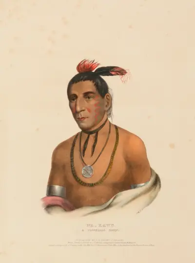 Wa-Kawn, A Winnebago Chief av Charles Bird King