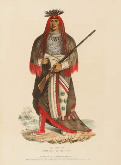 Wa-Na-Ta. Grand Chief Of The Sioux av Charles Bird King