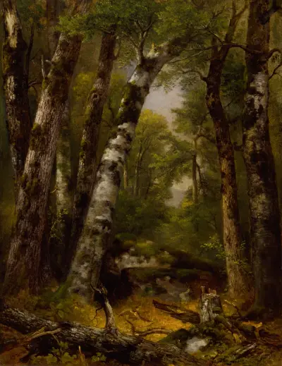 Woodland Glen av Asher Brown Durand