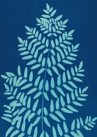 Ferns of Huntington, Long Island Pl.33 av Ella J. C. Hurd