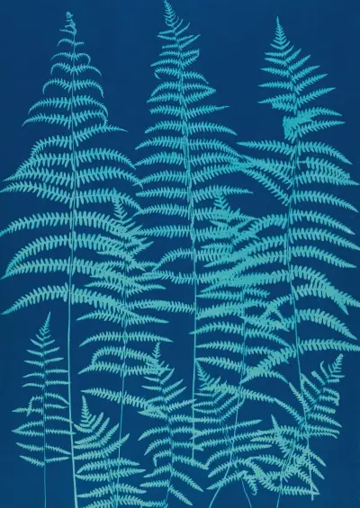 Ferns of Huntington, Long Island Pl.39 av Ella J. C. Hurd