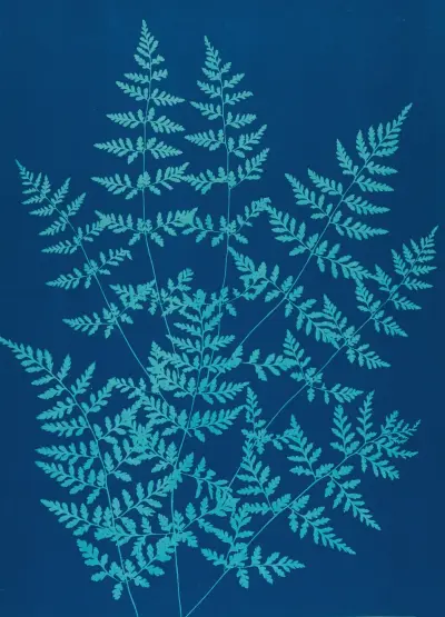 Ferns of Huntington, Long Island Pl.40 av Ella J. C. Hurd