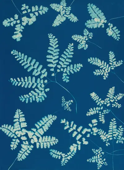 Ferns of Huntington, Long Island Pl.42 av Ella J. C. Hurd