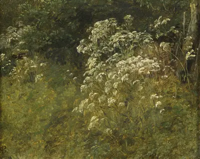 Körvel. Studie av P. C. Skovgaard