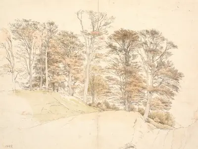 Høje træer med efterårsløv på bakket grund, 1841 av P. C. Skovgaard