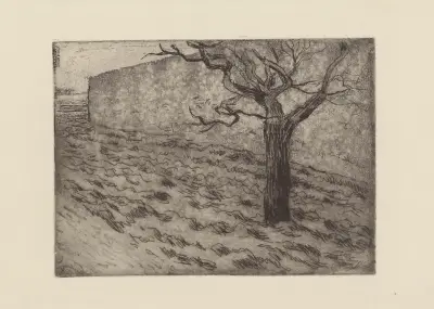 Arbre et terrain labouré av Camille Pissarro