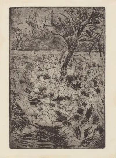 Le champ de choux av Camille Pissarro