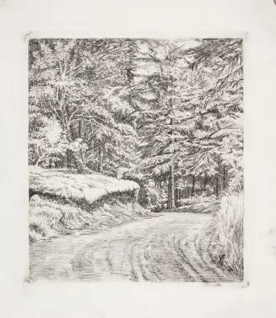 Der Weg im Fichtenwald, 1885 – Nr. 2 von Carl Bloch