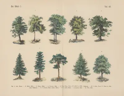 Lehrbuch der praktischen Pflanzenkunde in Wort und Bild Pl.43 av Carl Hoffmann