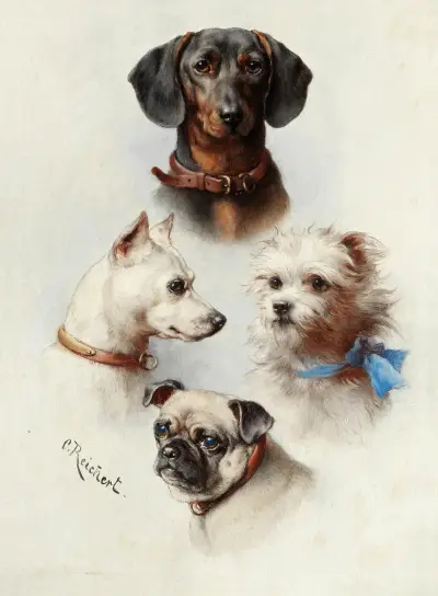 A motley crew av Carl Reichert