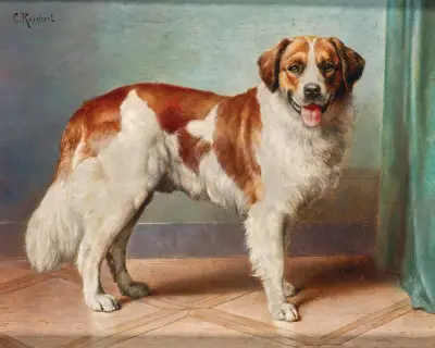 A St Bernard av Carl Reichert