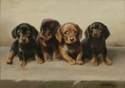 Four Dachshund puppies av Carl Reichert