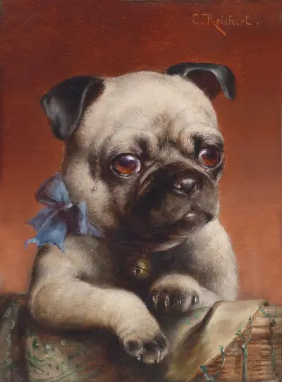Ung mops av Carl Reichert