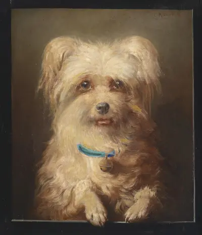 Zwerggriffon av Carl Reichert
