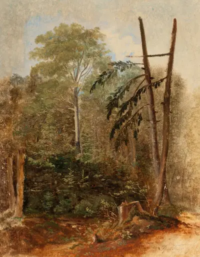 Studie av ett skogslandskap av Carl Spitzweg